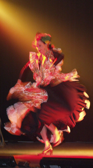 Flamenco Training